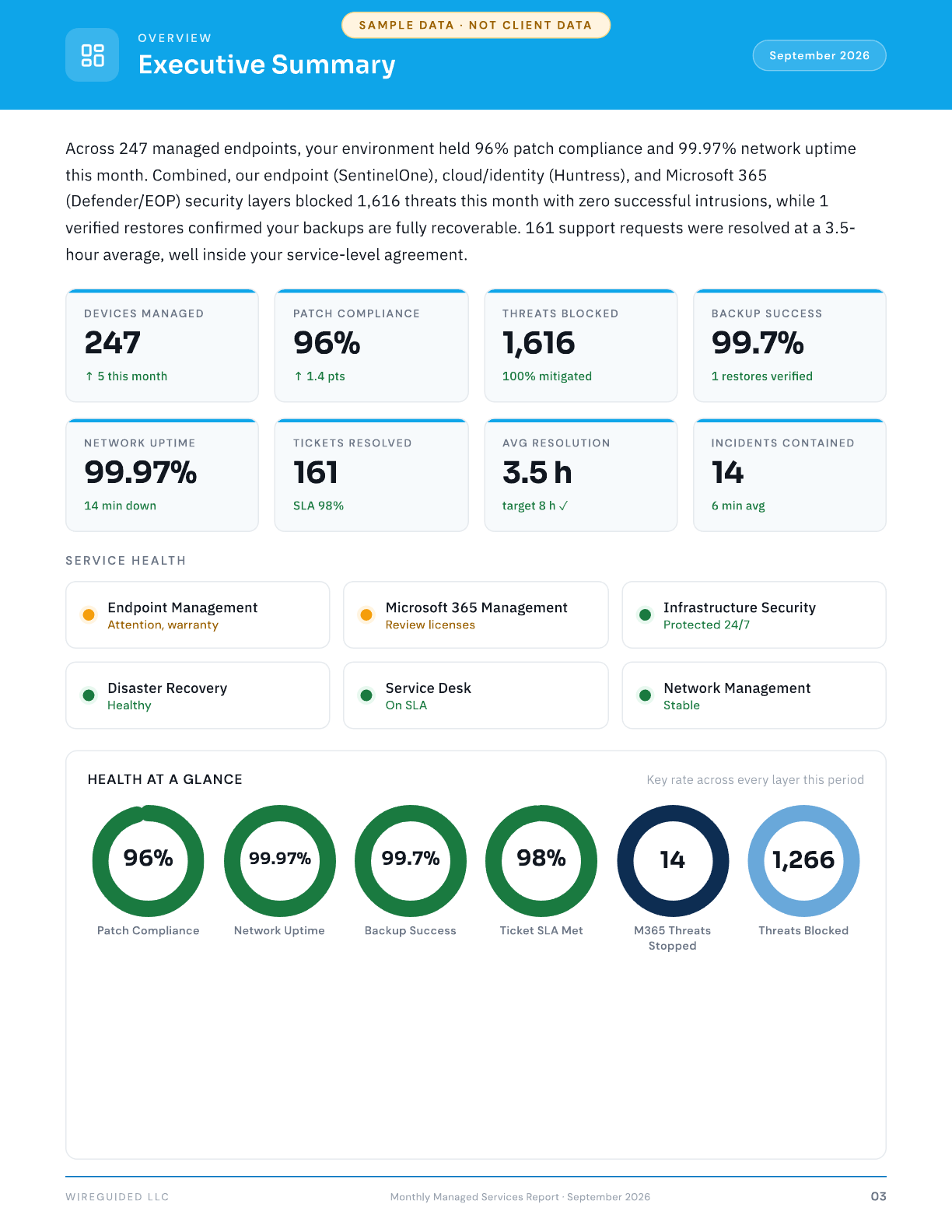 Executive Summary page from a Wireguided managed services report