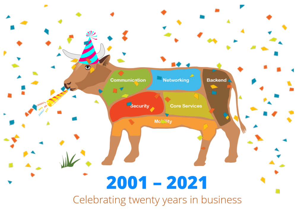 20 Years in Business!